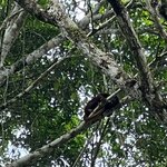 Photo taken by Maggie K