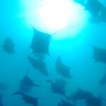 Photo taken by Sara W