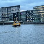 Photo taken by Meryl F