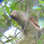 Photo taken by Lauren A