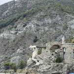 Photo taken by Gail B