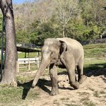 Photo taken by Nicole S