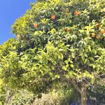 Photo taken by Michelle L