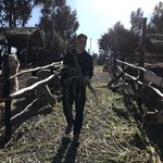 Photo taken by Ashley V