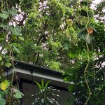 Photo taken by Esther B