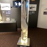 Photo taken by Sandra D