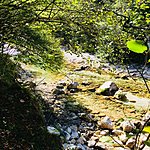 Photo taken by Dianne W