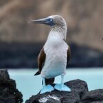 Photo taken by Maggie K