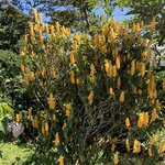 Photo taken by Luke T