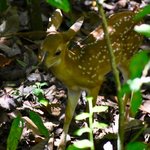 Photo taken by William R