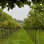 Photo taken by Julie W