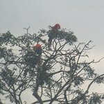 Photo taken by Helen M