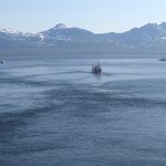 Good bye | Photo taken by florence P