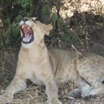 Photo taken by Kristin M