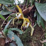 Photo taken by Victoria E