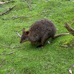 Photo taken by Maria K