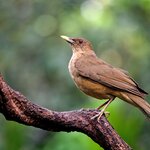 Photo taken by Dawne D