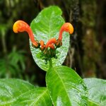 Photo taken by Garritt V