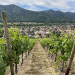 Photo taken by Jodi P