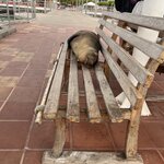 Photo taken by Lisa T