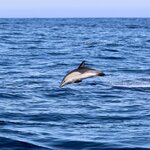 Photo taken by Tom L