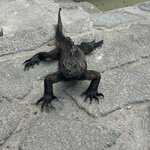 Photo taken by Mark A