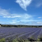 Photo taken by Diana S