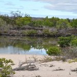 Photo taken by Natascia V