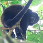 Photo taken by Joyce C