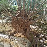 Photo taken by Julienne S