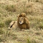 Photo taken by Julien C