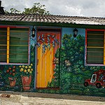 Photo taken by Janice B