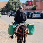 Photo taken by Lisa D