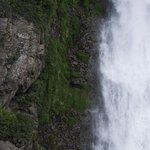 Photo taken by Mariellen S