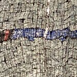 Photo taken by Alberto d