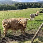 Photo taken by Marcos M