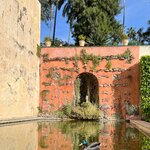 Photo taken by Joey R