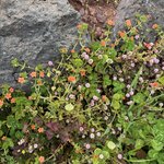 Photo taken by Catherine H