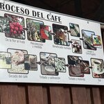 Photo taken by Joyce C