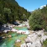 Photo taken by Janis R