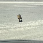 Photo taken by alton r