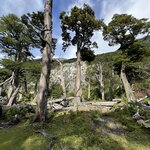 Photo taken by Rebecca B