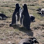 Photo taken by Marcia R