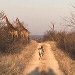 Photo taken by Janie W