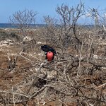 Photo taken by Nicole S