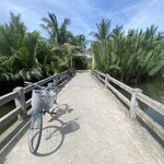 Photo taken by Jacqui O