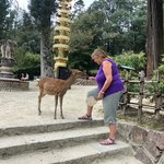 Feeding the deer | Photo taken by peter e