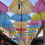 Photo taken by Bincy P