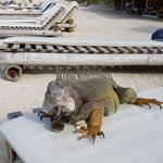 Photo taken by Juliette S