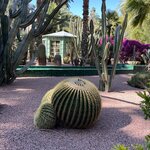 Photo taken by Jackie O